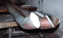 Aus diesen Rohlingen sollen Alph�rner werden